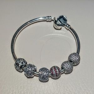 Pandora Charms!